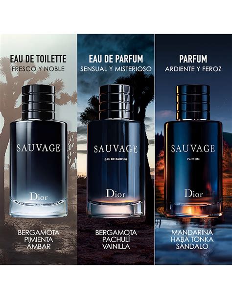 dior sauvage цена|dior sauvage cherry and patchouli.